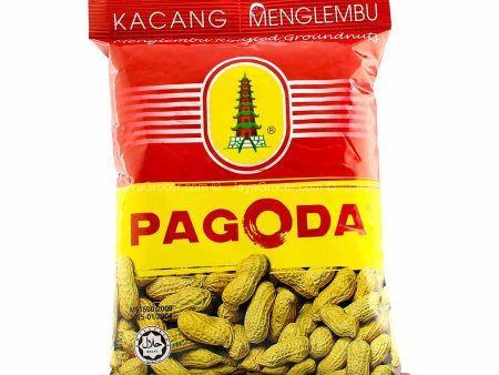 Pagoda Menglembu Roasted Groundnuts 110g Discount