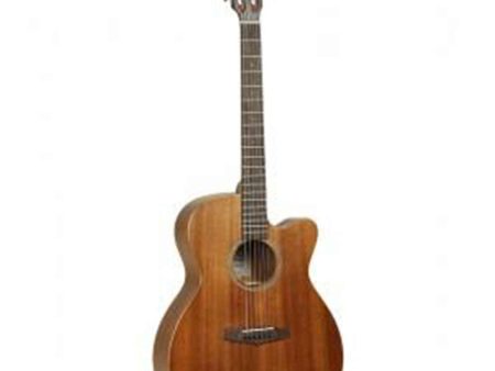 Tanglewood Electro-Acoustic Guitar Premier Historic: TW130 SM CE Hot on Sale