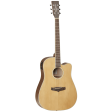 Tanglewood Winterleaf Series: TW10 Disc Discount