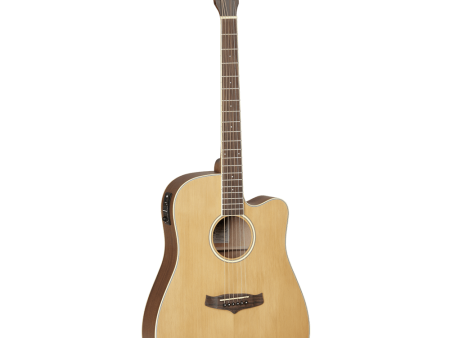 Tanglewood Winterleaf Series: TW10 Disc Discount