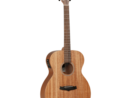 Tanglewood Winterleaf Series: TW2 Supply