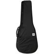 Tanglewood Acoustic Guitar: Dreadnought Foam Case on Sale