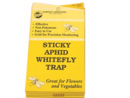 White Fly Traps 5 Pack Fashion