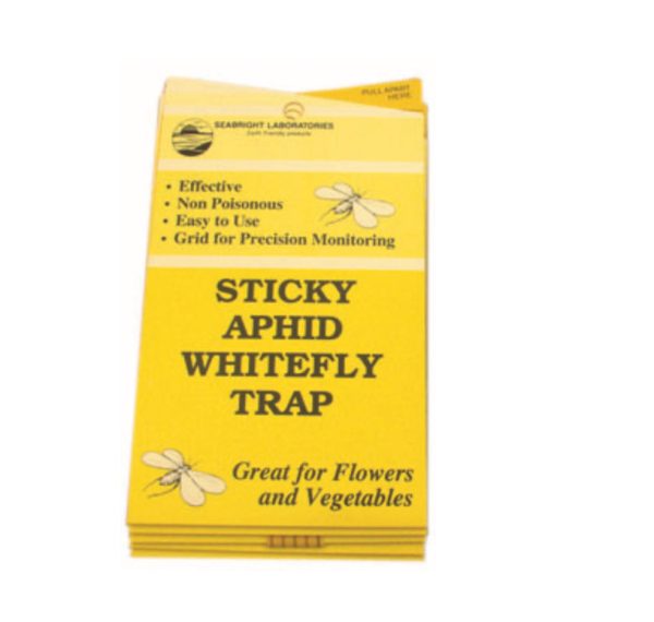 White Fly Traps 5 Pack Fashion