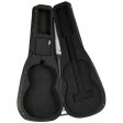 Tanglewood Acoustic Guitar: Orchestra Foam Case on Sale