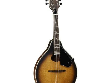 Tanglewood Teardrop Mandolin, Vintage Sunburst TWM SO VSG Discount