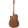 Tanglewood Winterleaf Series: TW10 Disc Discount