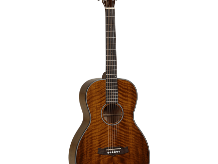 Tanglewood Acoustic Guitar Sundance Delta: TW40 PD Parlour Size Online