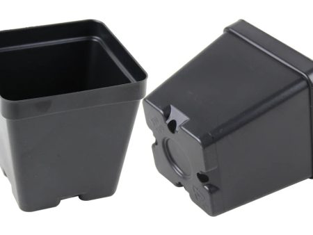 Square Pot 3” For Discount