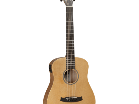 Tanglewood Winterleaf Series: TW2E on Sale