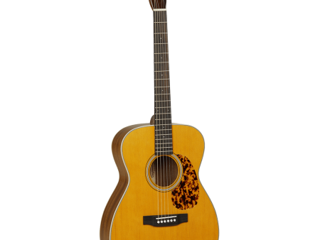 Tanglewood Electro-Acoustic Guitar Sundance Historic: TW40 AN E Online now