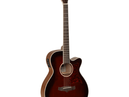 Tanglewood Winterleaf Series: TW4 WB Discount