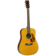 Tanglewood Electro-Acoustic Guitar Sundance Historic: TW40 D AN E Fashion