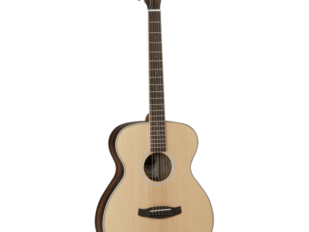 Tanglewood Acoustic Guitar, Discovery: DBT F EB For Discount