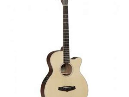 Tanglewood Winterleaf Series: TW1 For Discount