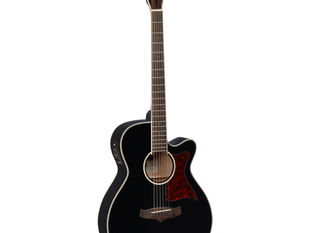 Tanglewood Winterleaf Series: TW4 BK Online