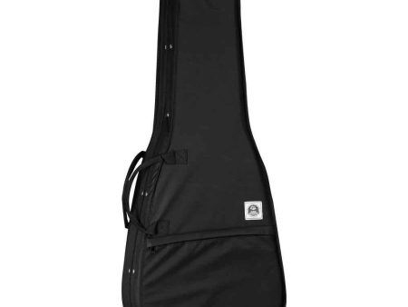 Tanglewood Acoustic Guitar: Orchestra Foam Case on Sale